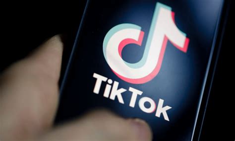 TikTok Online Viewer and Downloader